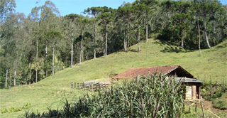 Fazenda Vu da Noiva